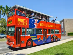 Big Bus: 1/2-Day Hop-On Hop-Off Tour of Darwin